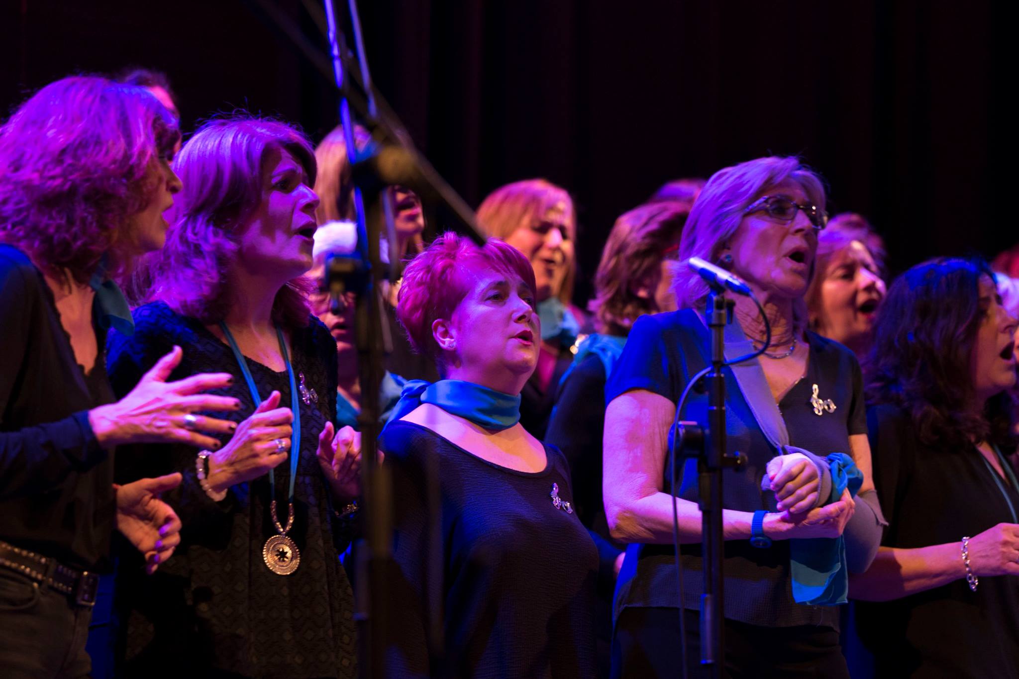 El Gospel Optometrist Choir estrena temporada i busca solistes